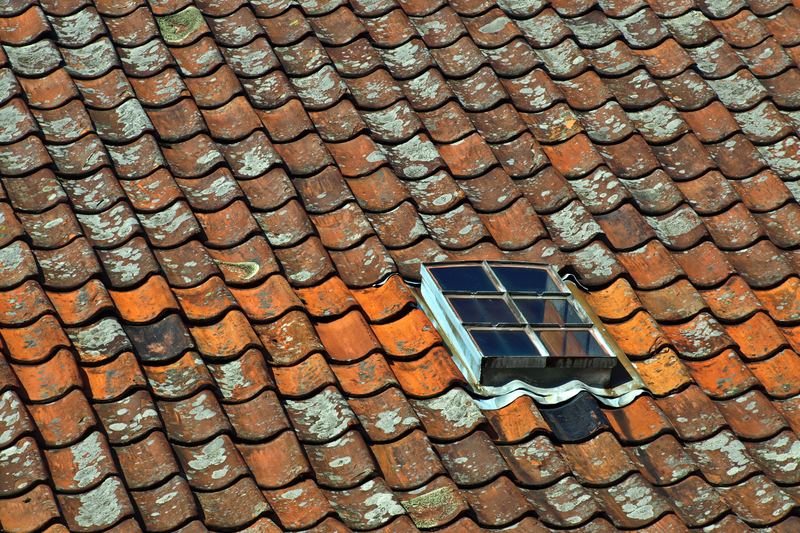 Tuiles anciennes colonisées par le lichen autour d'une fenêtre de toit